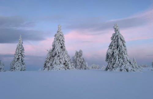 Ferienwohnung Brandenburger - Foto 37