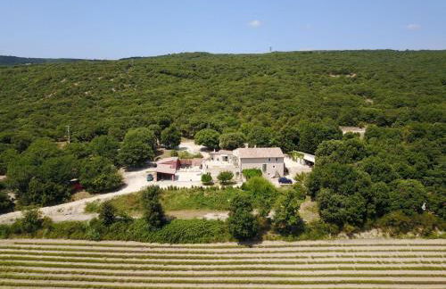 Mas Saint Antoine - Foto 66