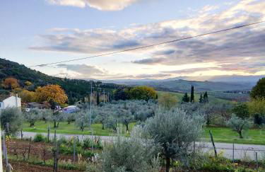 La Sassolina - Foto 35