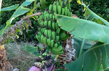 Mar D'Abstração - Photo 48