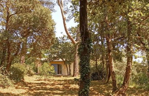 Gorgeous Home In Besse Sur Issole - Foto 1