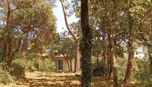 Gorgeous Home In Besse Sur Issole - Foto 1