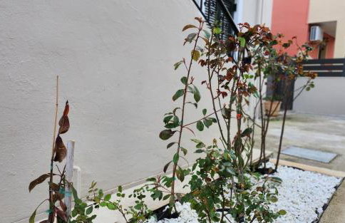 PIERI HOUSE CORFU - Foto 31