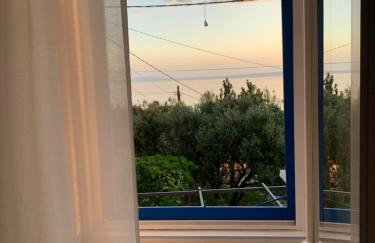 House Franulich - Foto 30