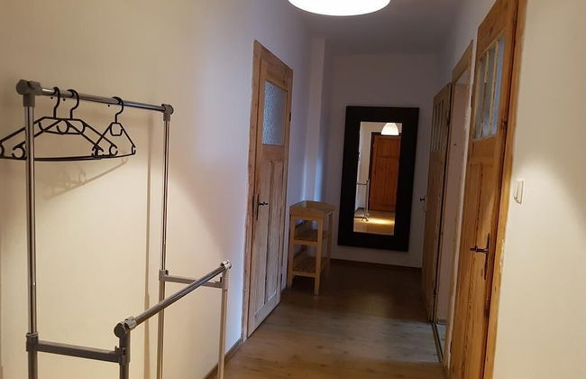 Dresdner-Tag Melissa - Foto 30