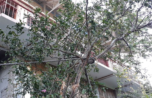 Bahay Isla Sanctuario - Foto 35