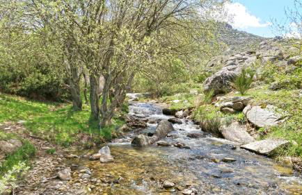 Casas Rurales Florentino - Foto 47