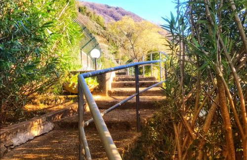 The House on the lake shore - Foto 26