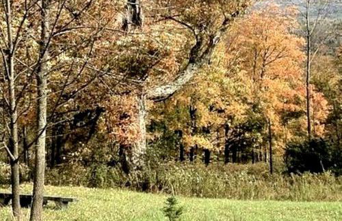 Modern Countryside Yurt Rental in Waterville, Upstate New York - Foto 14