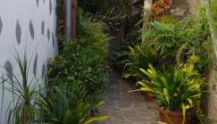 Cho Almeida - Foto 3