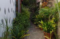 Cho Almeida - Foto 3