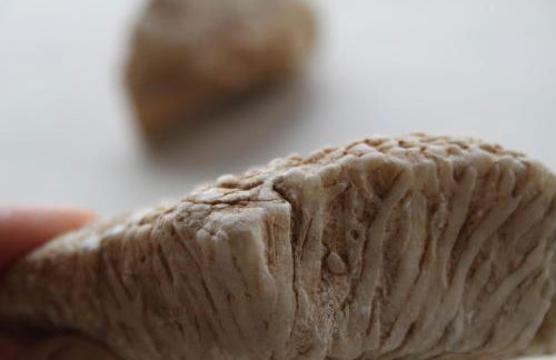 Quinta de São João - Foto 44