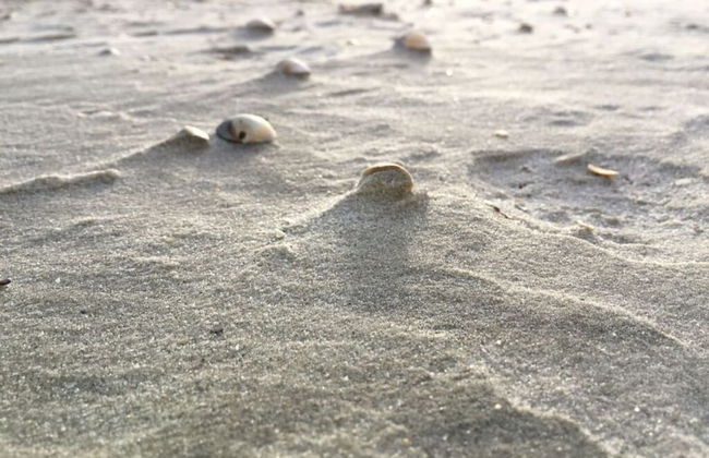 Deichwiege Modern Retreat - Foto 19