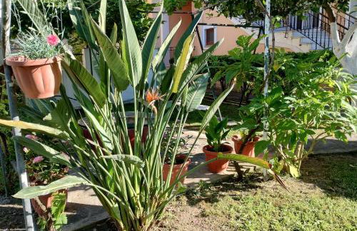 Nikos Apartments 3 - Foto 22