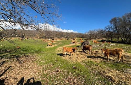 La Casina de Navalcán - Foto 11