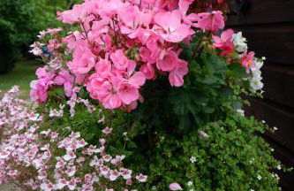 The Garden Suite Holt - Foto 35