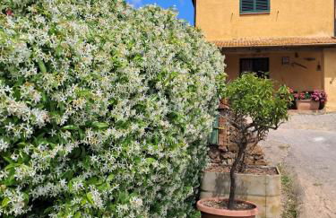 La Ghiandaia - Foto 1