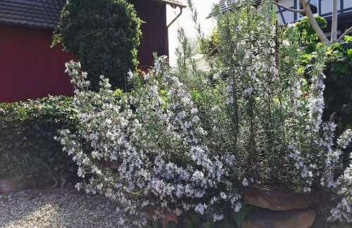 Privat Apartment- Near Strasbourg, Baden Baden - Foto 38