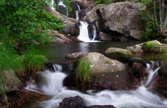 El Cerrillo - Foto 11