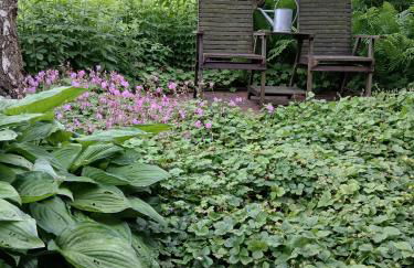 Alfseeglück - Foto 26