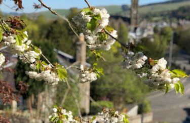 Dilkusha, Peebles - Foto 30