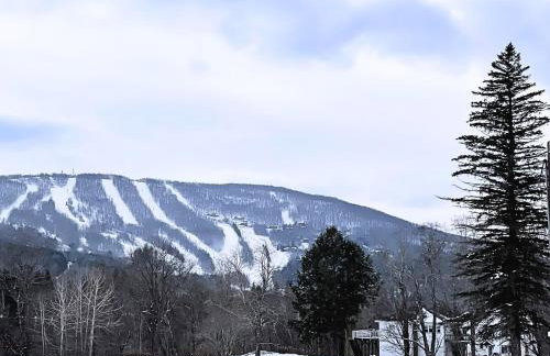 Skiing Close By! Firepit & Game Room - Foto 4