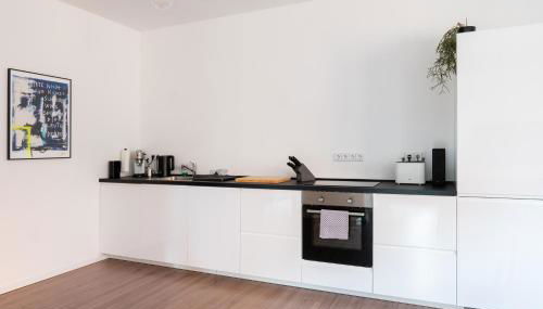 Luxuriöses Apartment, 10min Innenstadt, Parkplatz - Photo 4, stove, dishwasher, pet friendly