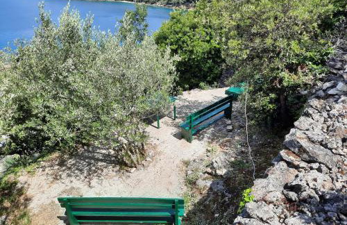 Apartments and rooms Roberto B. - Foto 14