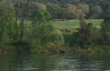 White River Landing - Foto 31