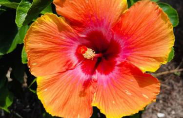 Waterfront duplex, walk to the beach - Foto 49