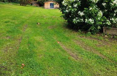 Adorable petit châlet près de la forêt et des commerces - Foto 21