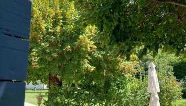 Le Petit Mas des Alpilles en Provence - Foto 5, Garden
