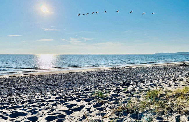 4 Star Holiday Home in Hoganas - Foto 28