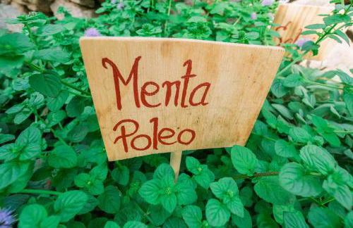 CASA EMBLEMÁTICA MARUCA y LELI - Foto 48