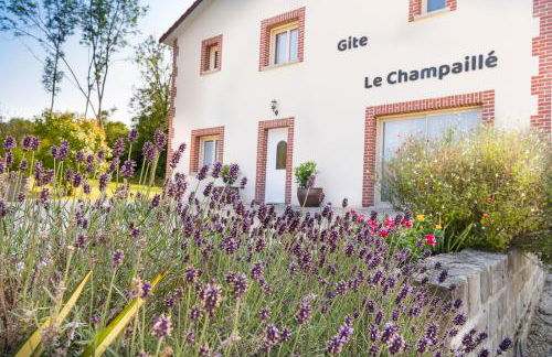 Le Champaillé - Foto 38