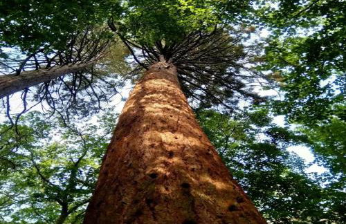 Chalet in Wendorf - Photo 35