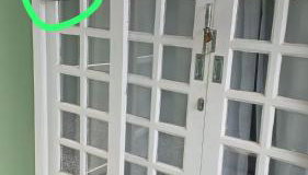 Casa - Joinville - Photo 5