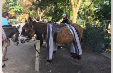 EOLE, Idéalement situé sur le port de St Martin de Re - Foto 20