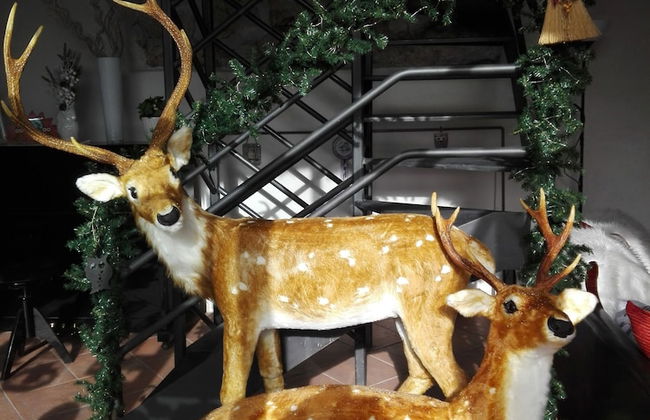 Residenza storica Le Civette - Photo 3