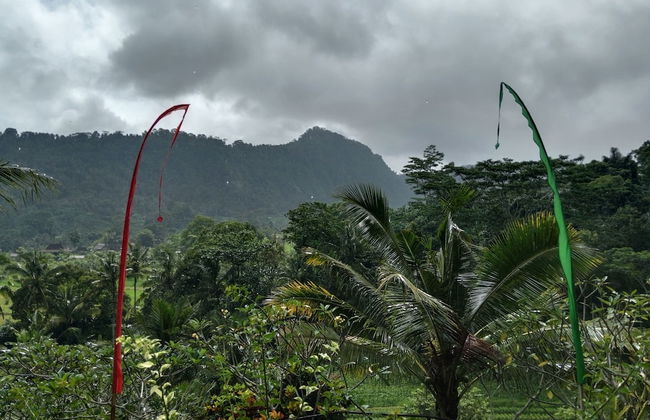 Beji Ayu Villas Sidemen - Foto 32