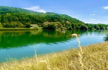 Entre Ried et Rhin - Foto 26