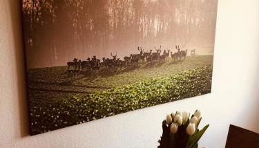 Urlaub auf Mittelhof - Foto 5