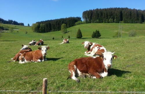 Appartement Rehblick - Foto 53