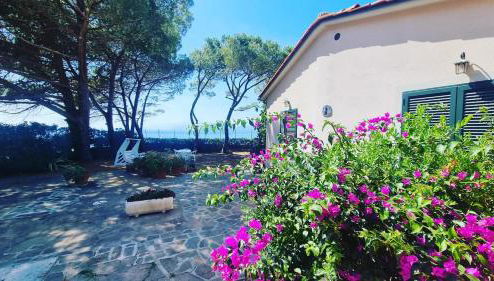 Villa dei Cavallucci Marini - Foto 1, Garden