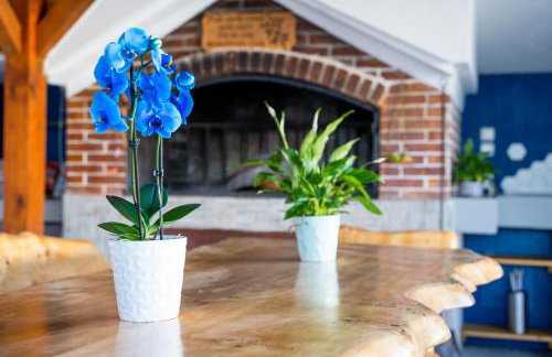 Apartman Luka - Foto 11