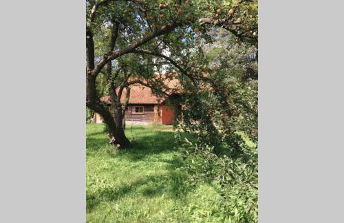 Między Wodami - Foto 28