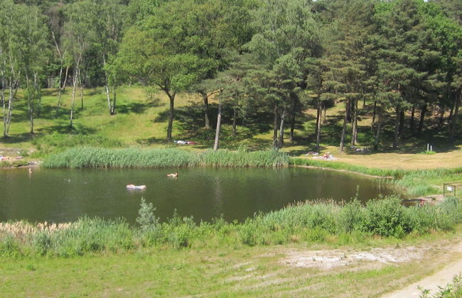 Well Furnished Chalet with Garden near Brunssummerheide - Photo 20