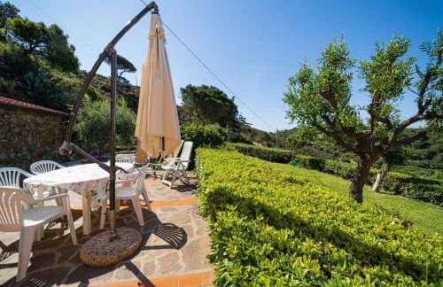 Appartamenti Casa Serena Vista Mare - Goelba - Foto 23