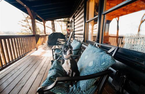 Quiet Ellijay Cabin 2 Master Ensuites, Stunning Views, Hot Tub, Dogs Welcome - Foto 36