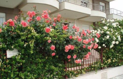 Petite Sirene Studios - Foto 16